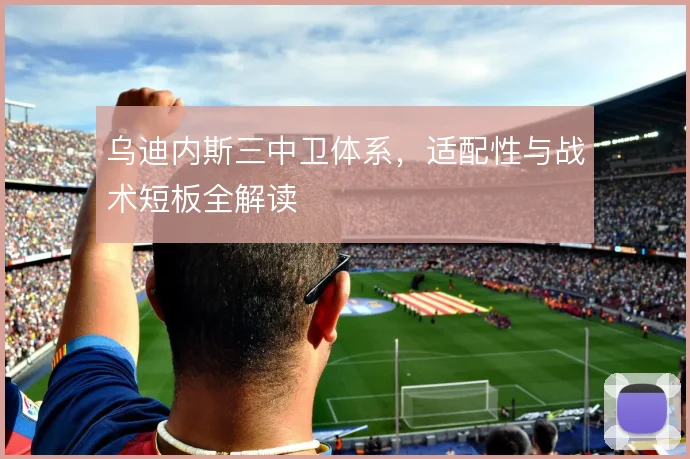 乌迪内斯三中卫体系，适配性与战术短板全解读